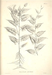 n34_w1150