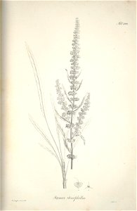 n256_w1150