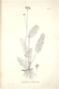 n226_w1150
