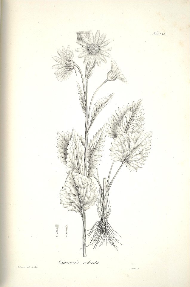 n211_w1150