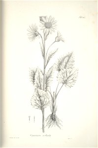 n211_w1150