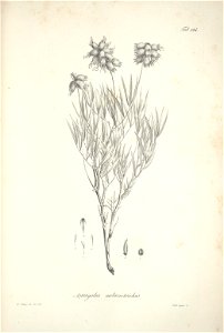 n123_w1150