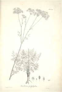 n166_w1150