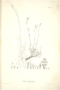 n93_w1150