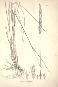 n78_w1150