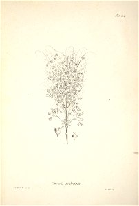 n63_w1150