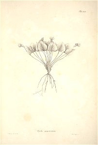 n48_w1150