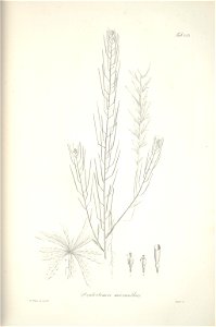 n210_w1150