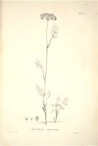 n165_w1150