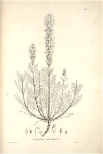 n107_w1150