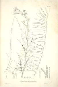 n92_w1150