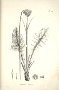 n209_w1150