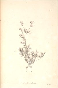 n194_w1150