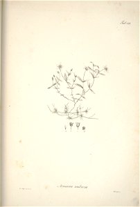 n179_w1150