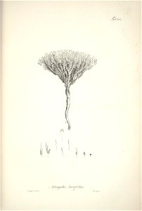 n164_w1150