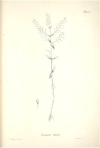 n46_w1150