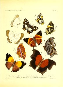 n152_w1150