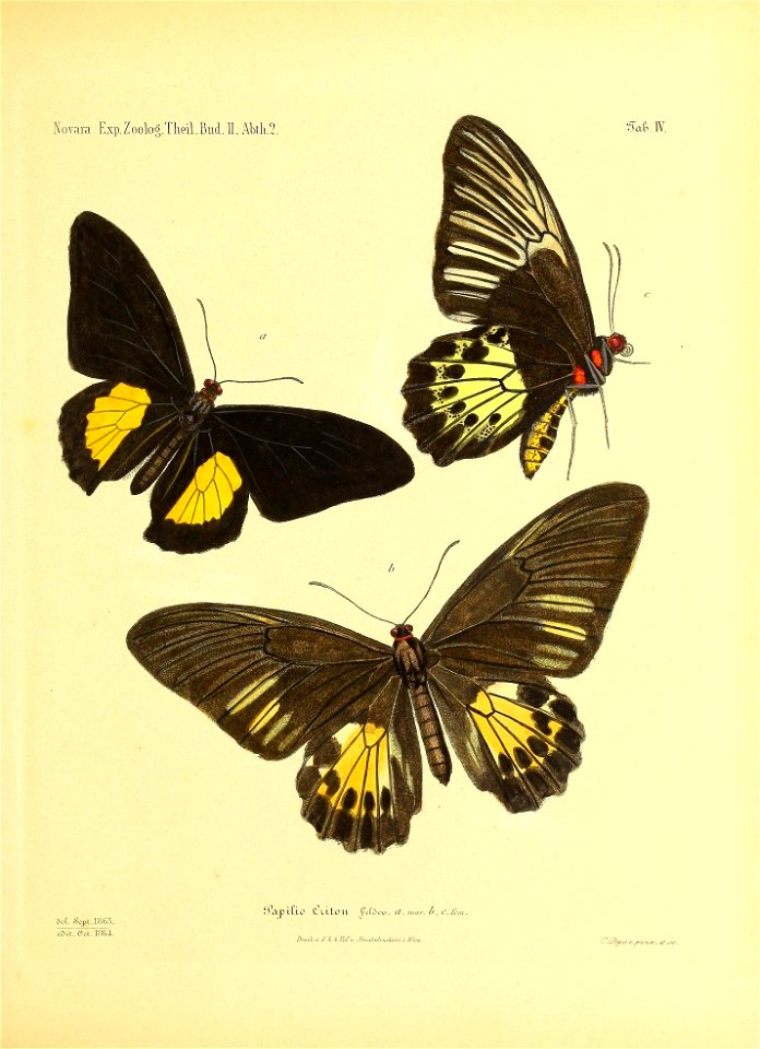 n58_w1150