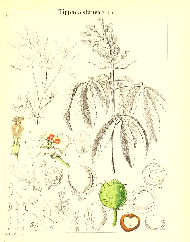 n678_w1150
