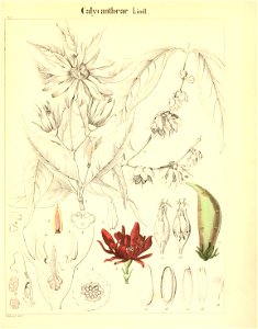 n796_w1150