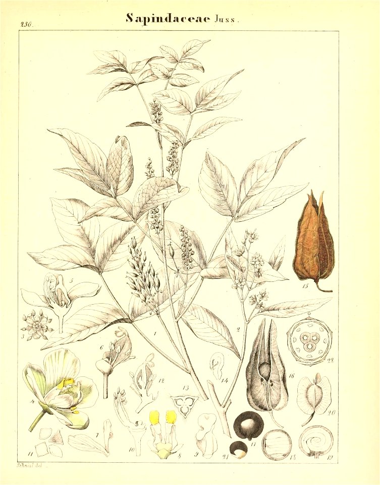 n676_w1150