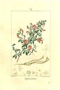 n157_w1150