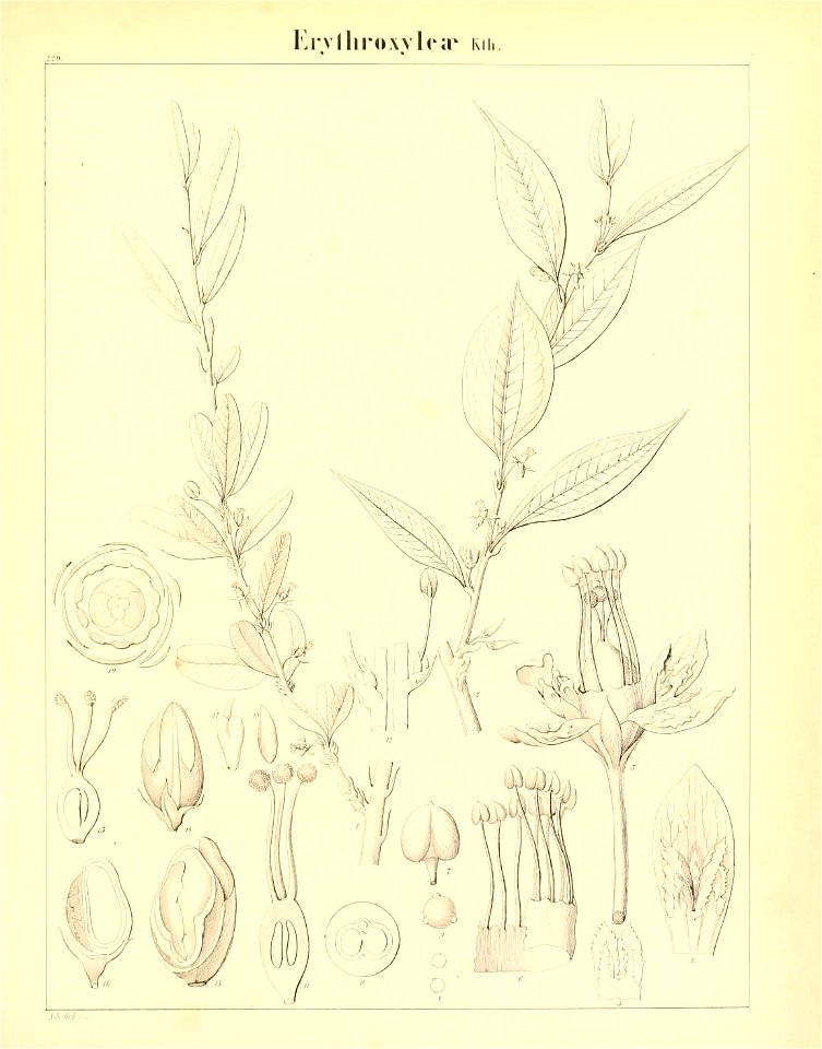 n674_w1150