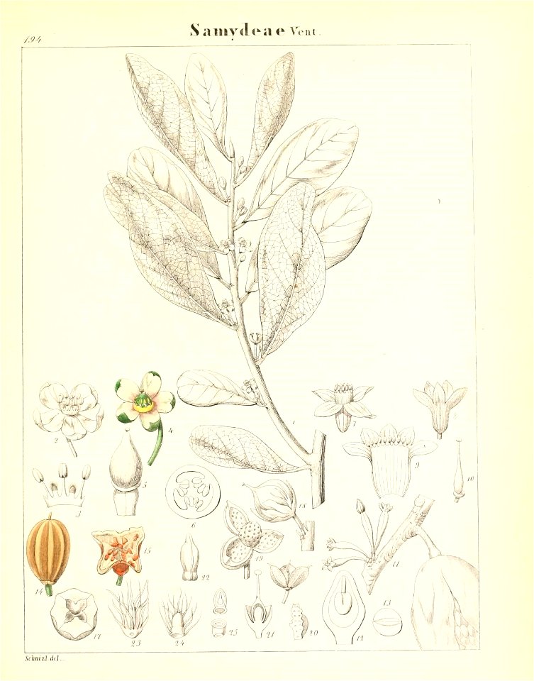 n576_w1150