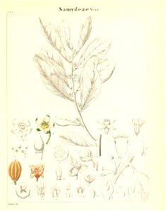 n576_w1150
