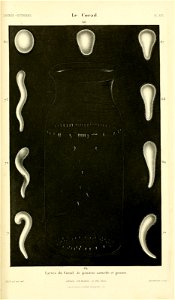 n430_w1150