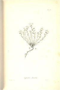 n254_w1150