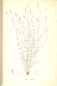 n239_w1150