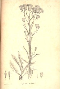 n102_w1150