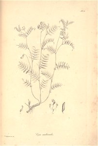 n87_w1150