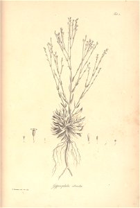 n42_w1150