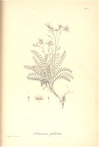 n57_w1150