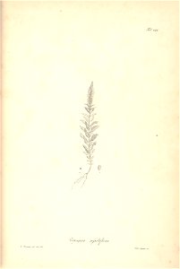 n193_w1150