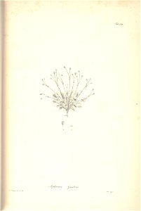 n237_w1150