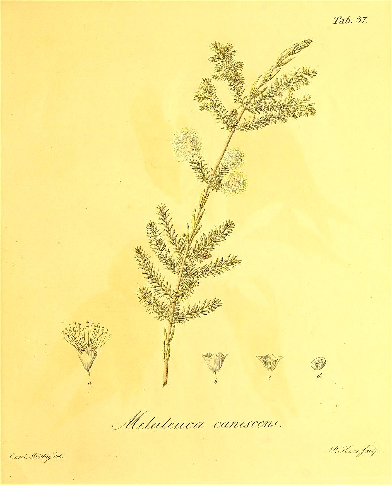 n212_w1150