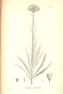 n99_w1150