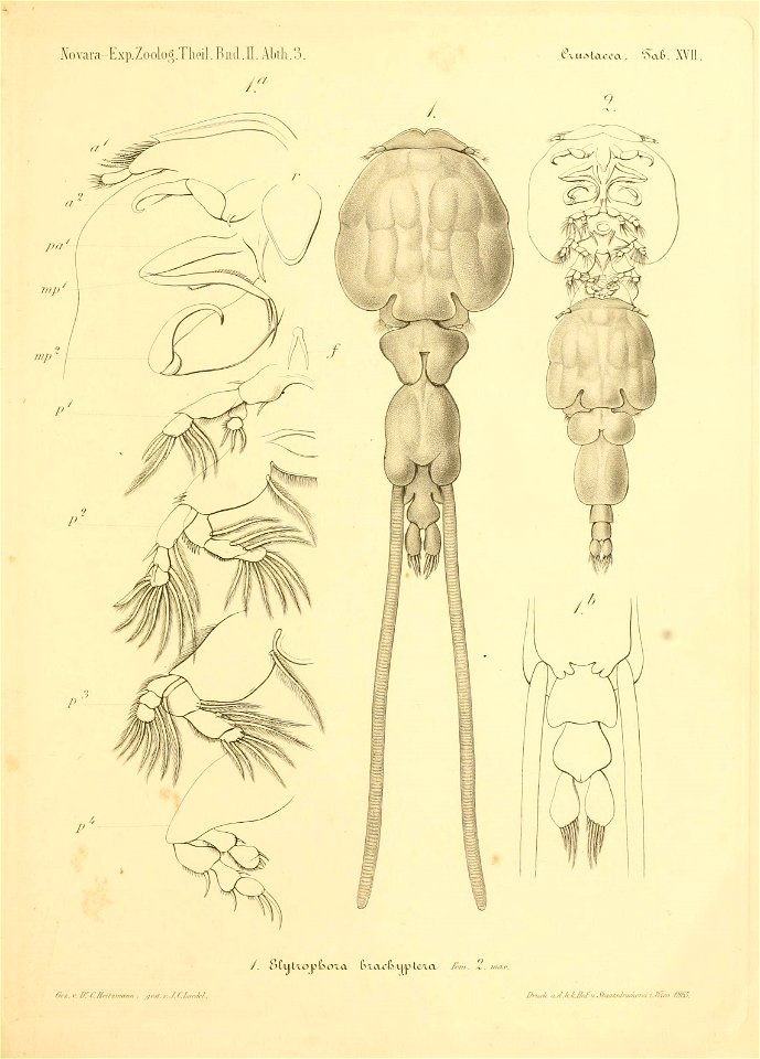 n358_w1150