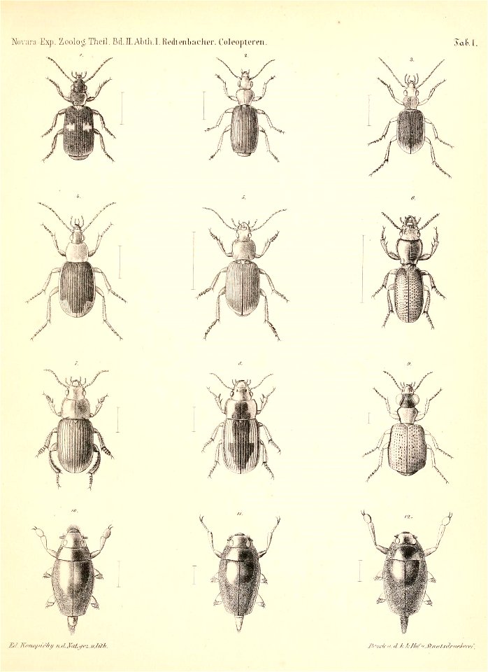 n264_w1150