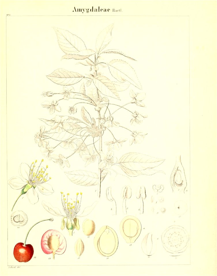 n806_w1150