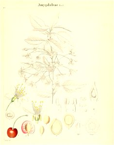 n806_w1150