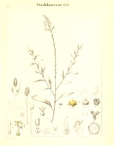 n716_w1150