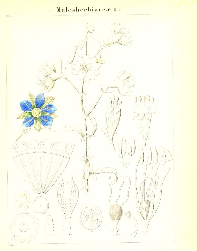 n586_w1150
