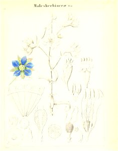 n586_w1150