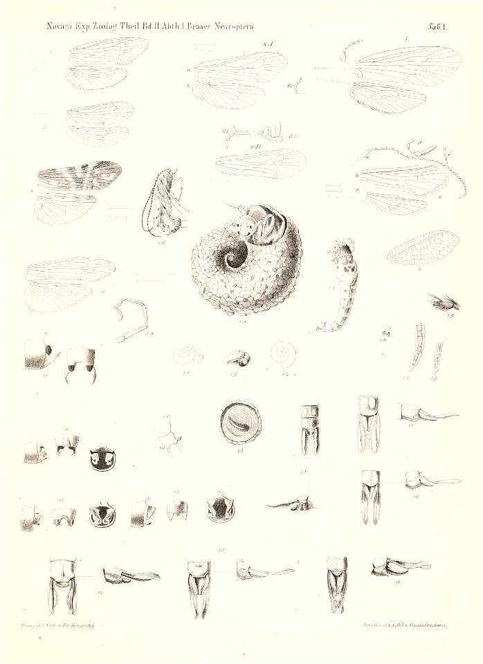 n698_w1150