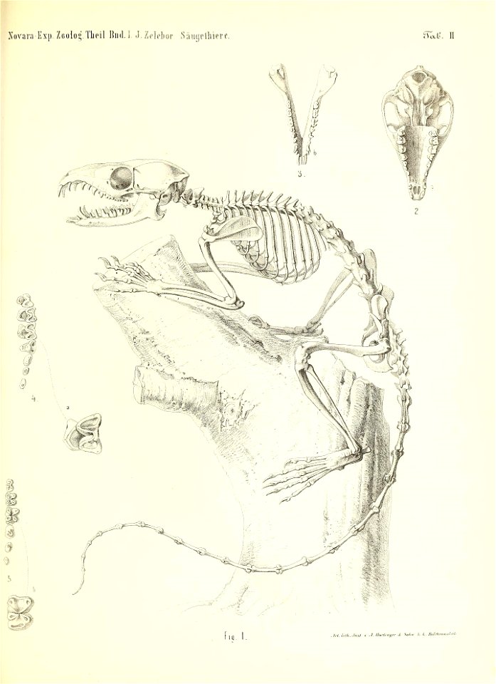 n56_w1150