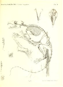 n56_w1150